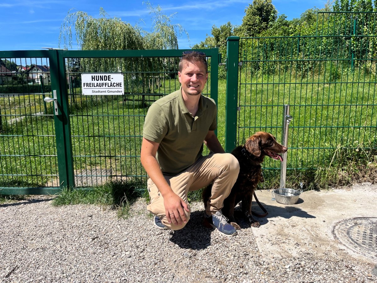  Upgrade für Hundefreilaufzonen - Trinkwasserbrunnen und Bäume für das Tierwohl 