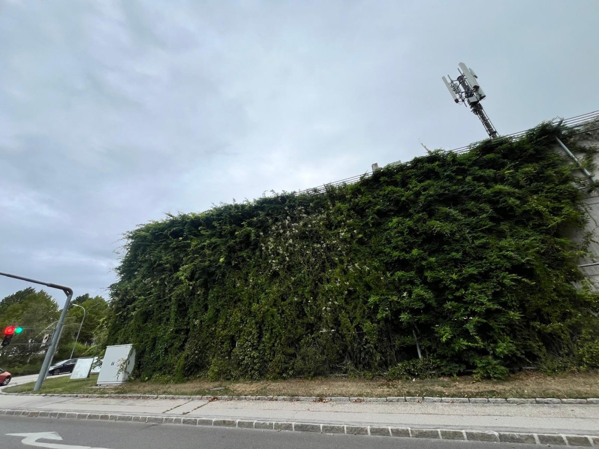 Toscanaparkplatz: Parkhaus statt Waldrodung 